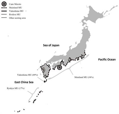 Genetic characteristics of loggerhead turtles in the coastal corridor of the North West Pacific, around the Cape Muroto, Japan